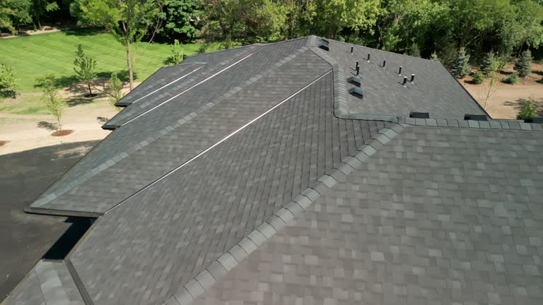 Best Roof Moss and Algae Removal  in Wyong, MI