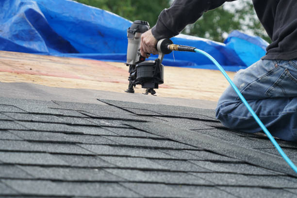 Best Roof Installation  in Wyong, MI