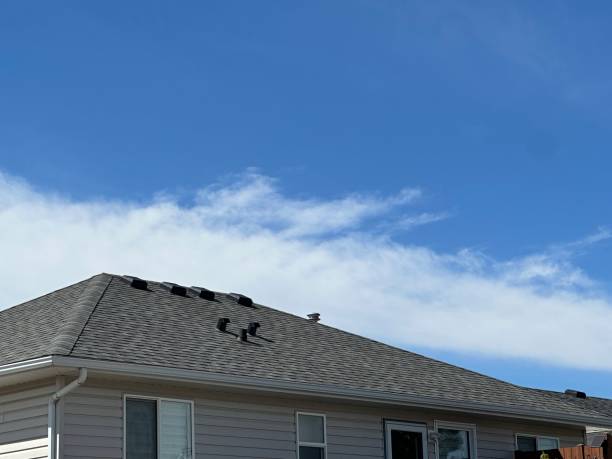 Asphalt Shingles Roofing in Wyoming, MI